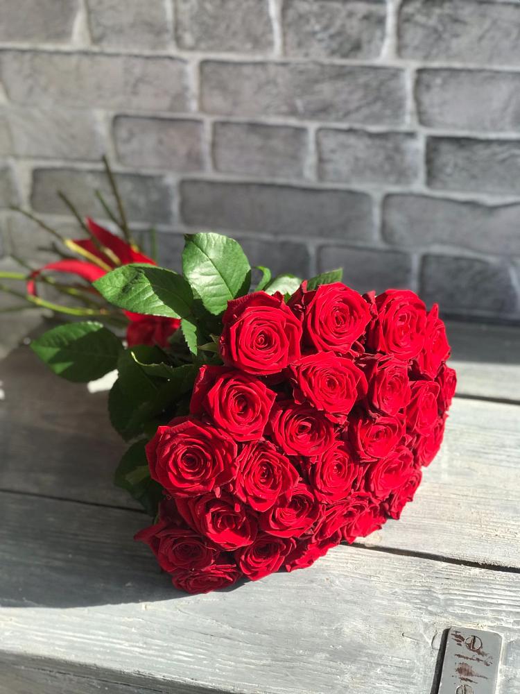 Букет Красные розы Фридом в Онеге