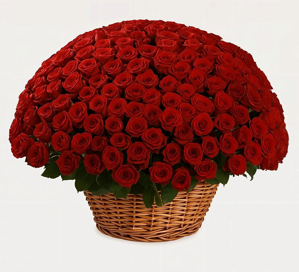 Премиум букет из: Розы в Онеге