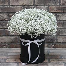 Цветочная композиция из Гипсофила в шляпной коробке в Онеге