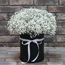 Цветочная композиция из Гипсофила в шляпной коробке в Онеге