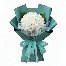 Букет цветов из:  Гортензия в Онеге